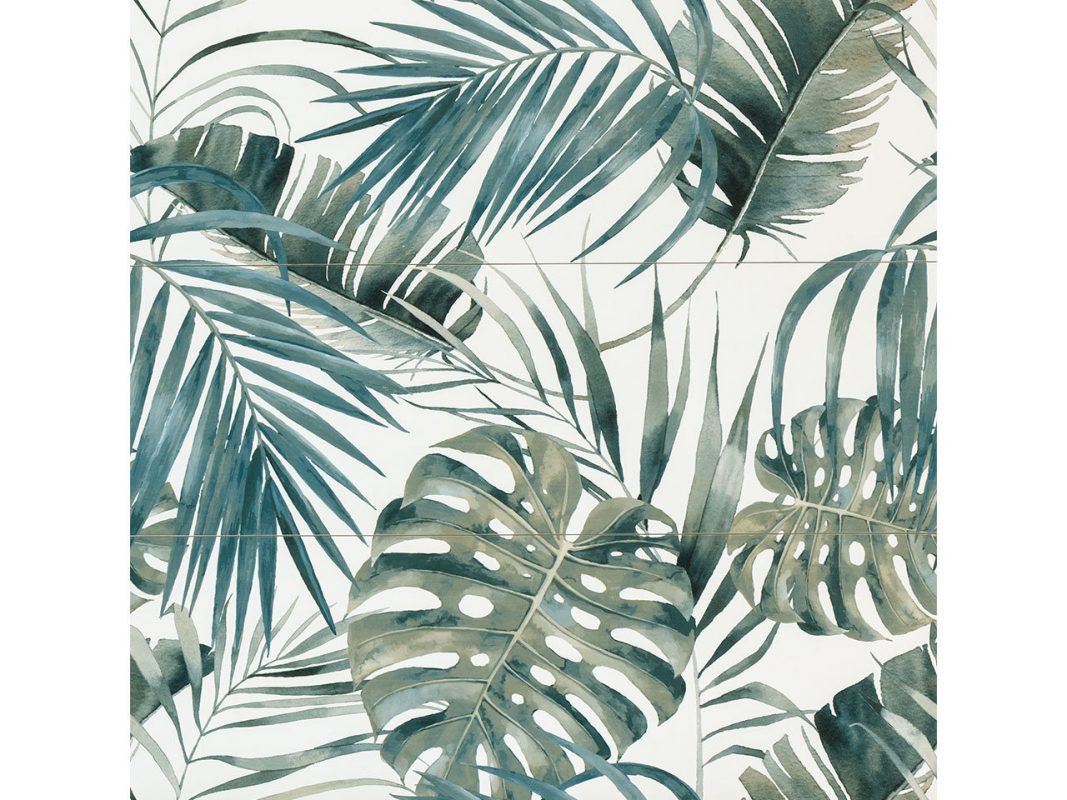 comp jungle minimale zoom