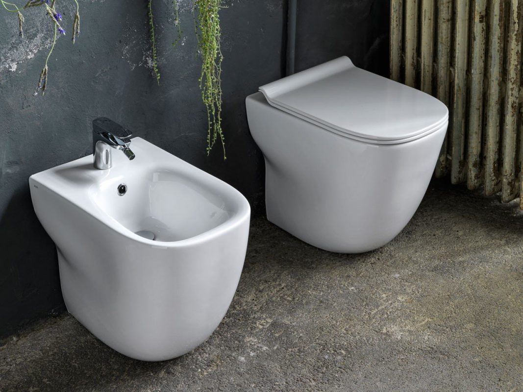 sanitari a terra wild zoom