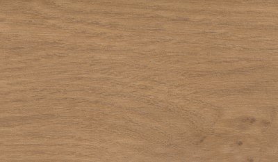 Quercia Irlandese / 2013L